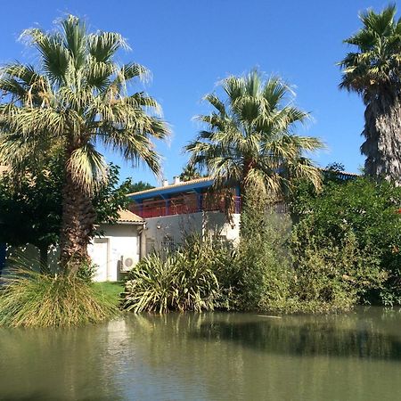 L'Hotel Du Mediterranee Argelès-sur-Mer Εξωτερικό φωτογραφία