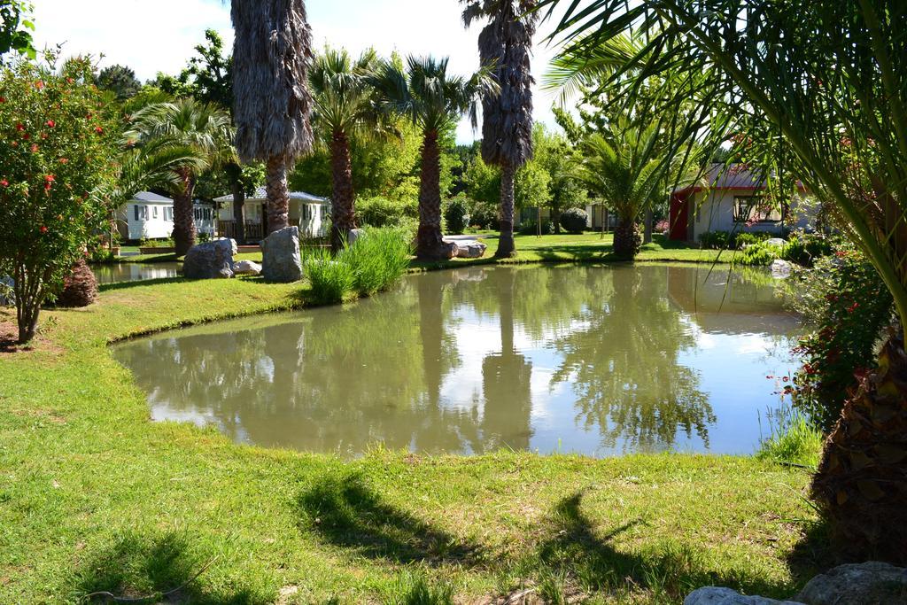 L'Hotel Du Mediterranee Argelès-sur-Mer Εξωτερικό φωτογραφία