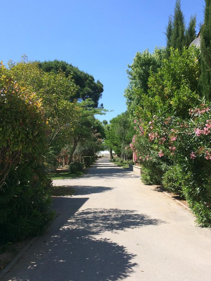 L'Hotel Du Mediterranee Argelès-sur-Mer Εξωτερικό φωτογραφία